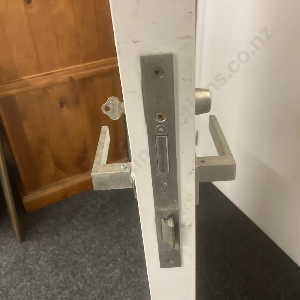 Door With Thin Steel Covering, Handle, Lock & Key, H198 W82.5 D5.5cm Image 1++