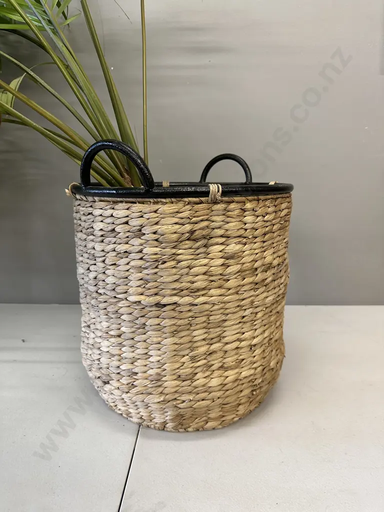 Large Indoor Palm In Woven Water Hyacinth Basket With Steel Handles At Top, H155cm Image 1++