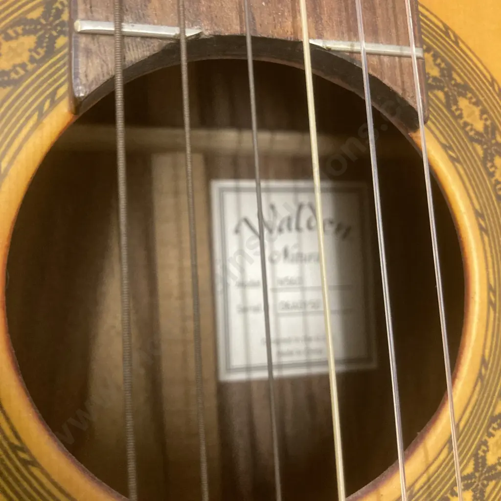 A Walden Natura N560 Classical Guitar Natural, Serial # 06A0150, With RockStand Guitar Stand & Bag Image 1++