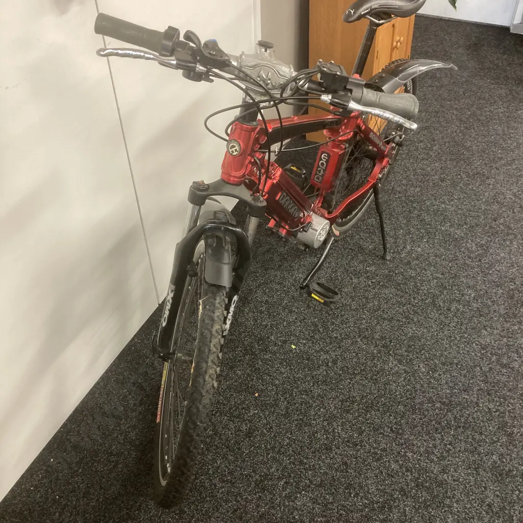 Danya Electric Bike With Charger, Metallic Red Colour, (Works But Could Need A Look At) Image 1++