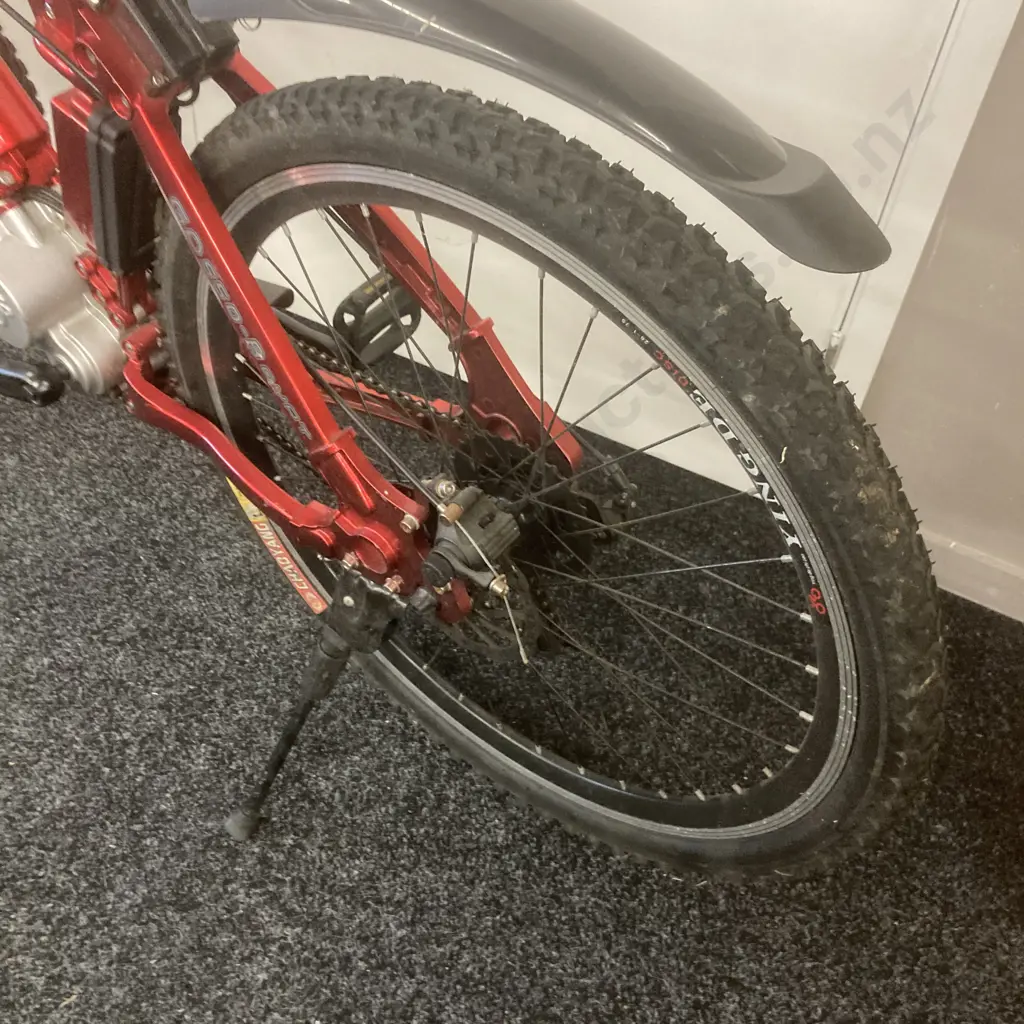 Danya Electric Bike With Charger, Metallic Red Colour, (Works But Could Need A Look At) Image 1++