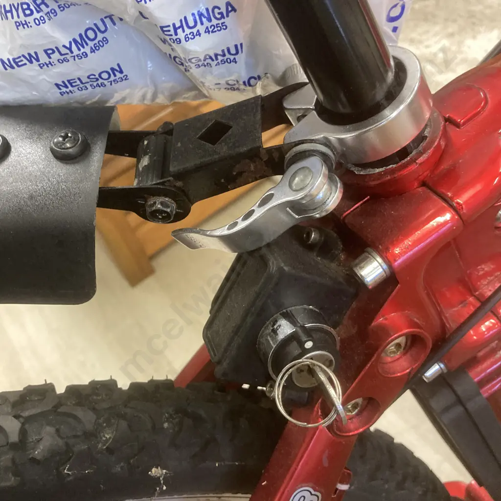 Danya Electric Bike With Charger, Metallic Red Colour, (Works But Could Need A Look At) Image 1++