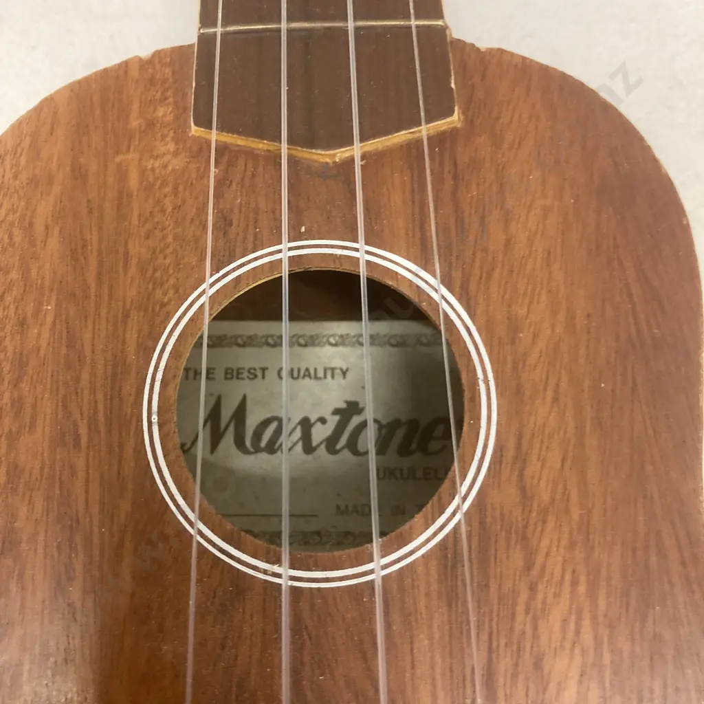 Maxtone Ukelele Image 1++