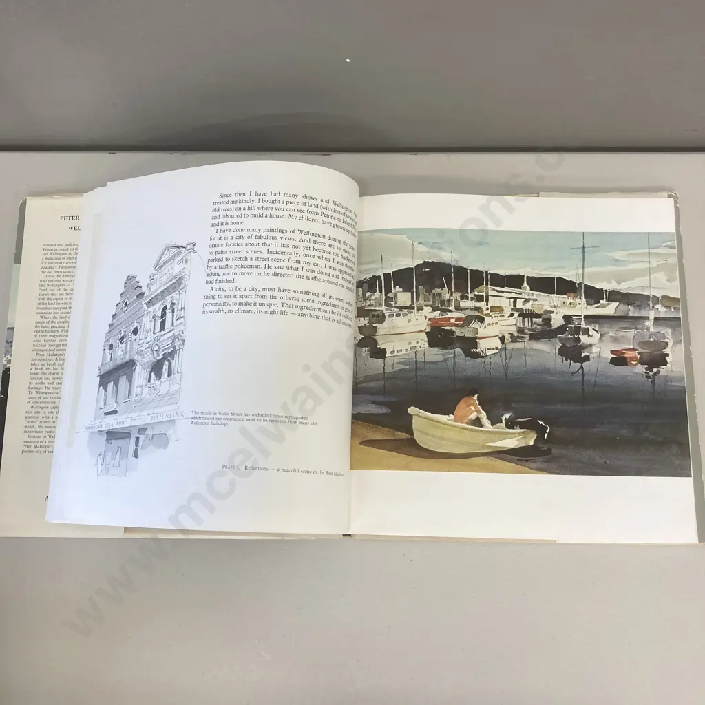 Peter McIntyre's Wellington, Kakahi New Zealand & The Painted Years, Hardbacks Image 1++