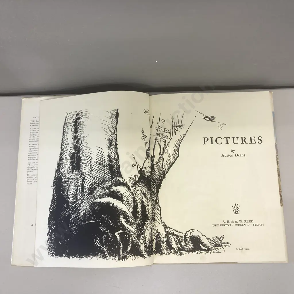 Pictures By Austen Deans Book, 1967 AH & AW Reed, Hardcover With Dust Jacket Image 1++