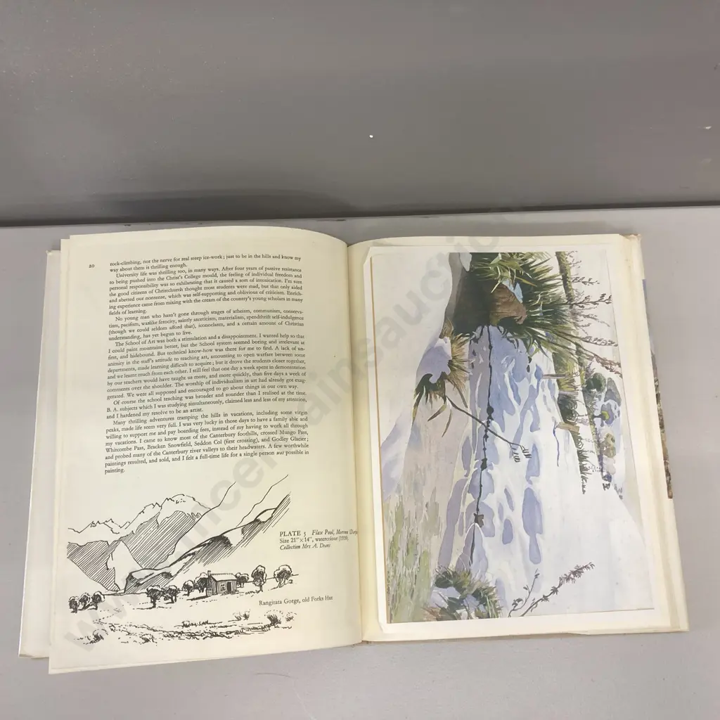 Pictures By Austen Deans Book, 1967 AH & AW Reed, Hardcover With Dust Jacket Image 1++