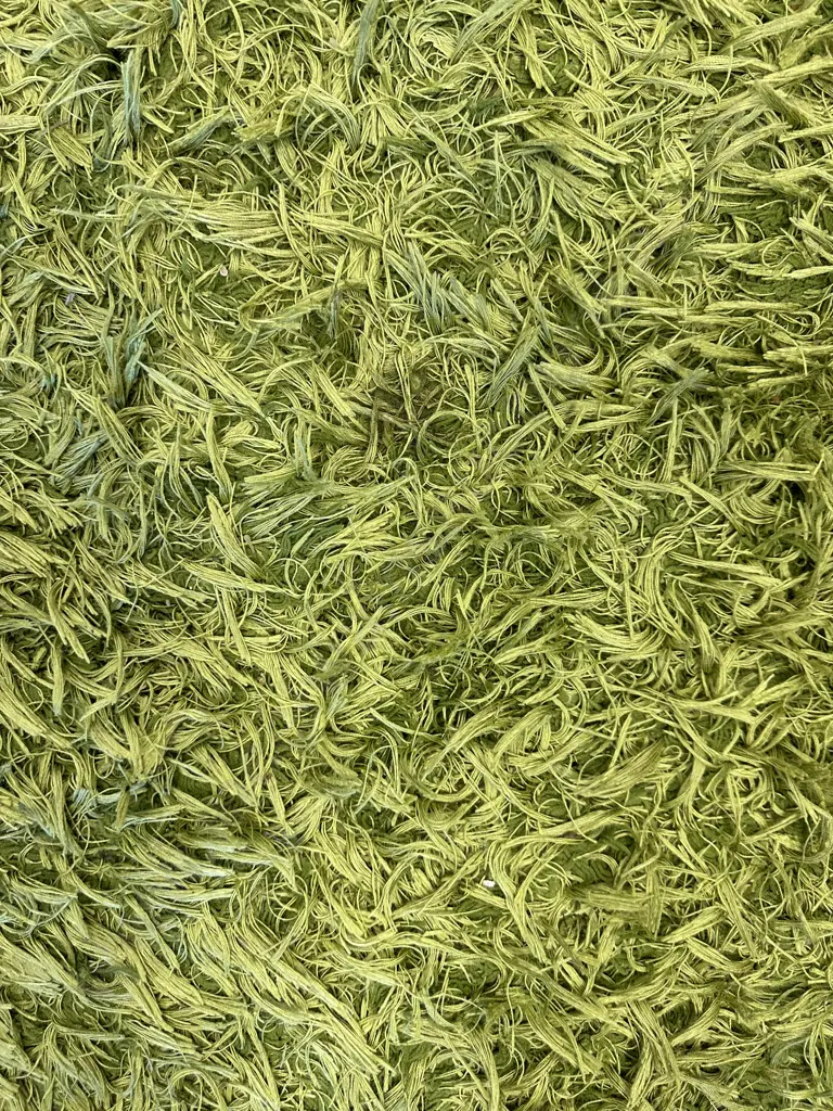 Green Shaggy Floor Rug, 125 x 186cm Image 1++