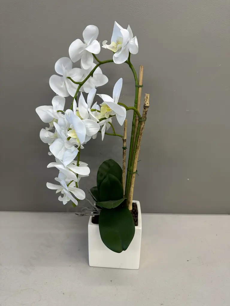 Potted Faux Orchid In Cream Pot Image 1++