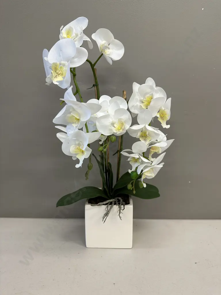 Potted Faux Orchid In Cream Pot Image 1++
