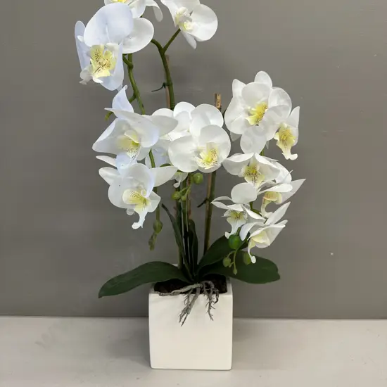 Potted Faux Orchid In Cream Pot