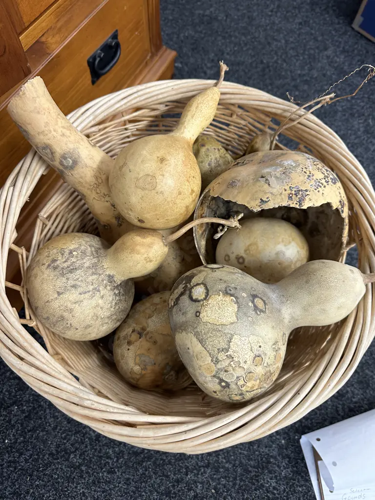 Assorted Gourds In Cane Basket Image 1++