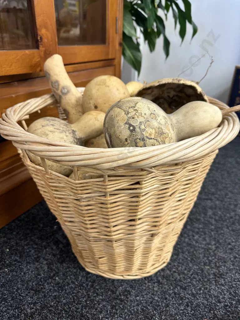 Assorted Gourds In Cane Basket Image 1++