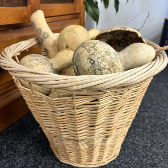 Assorted Gourds In Cane Basket