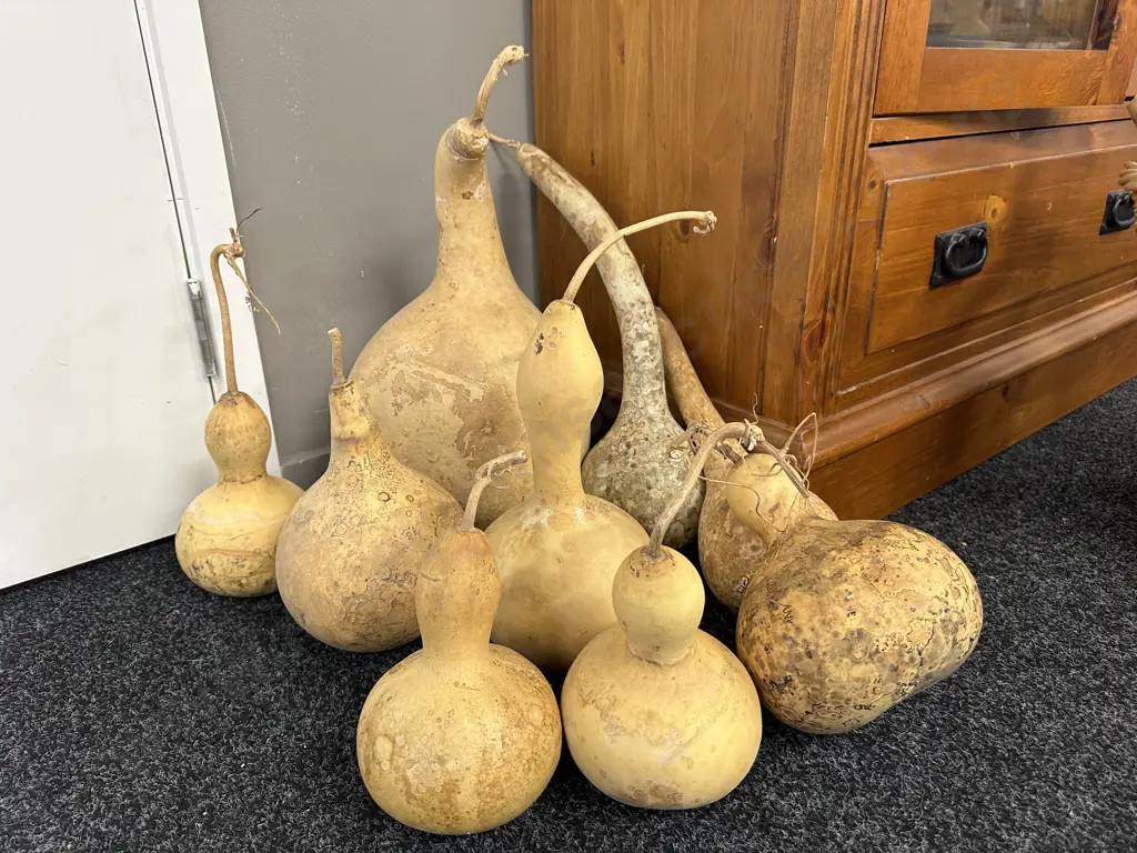 Assorted Gourds Image 1++