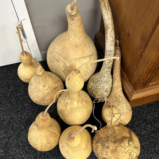 Assorted Gourds