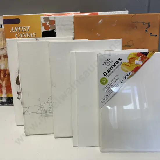 Assorted Artists Canvas's