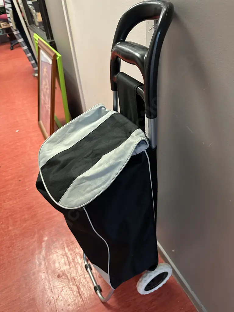 Shopping Trolleys and Bags Image 1++