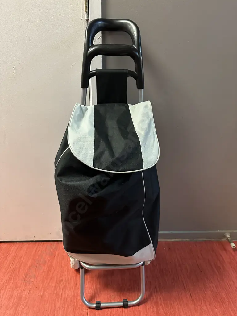 Shopping Trolleys and Bags Image 1++