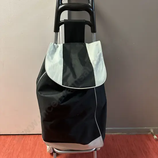 Shopping Trolleys and Bags