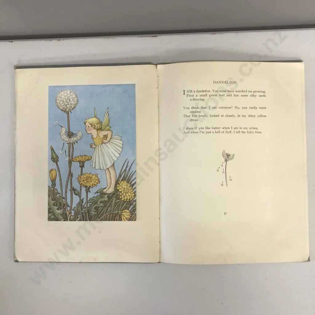A Bunch of Wild Flowers - Verse and illustrations by Ida Rentoul Outhwaite, Angus and Robertson. Sydney 1948 Image 1++
