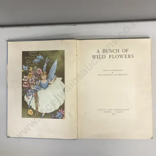 A Bunch of Wild Flowers - Verse and illustrations by Ida Rentoul Outhwaite, Angus and Robertson. Sydney 1948