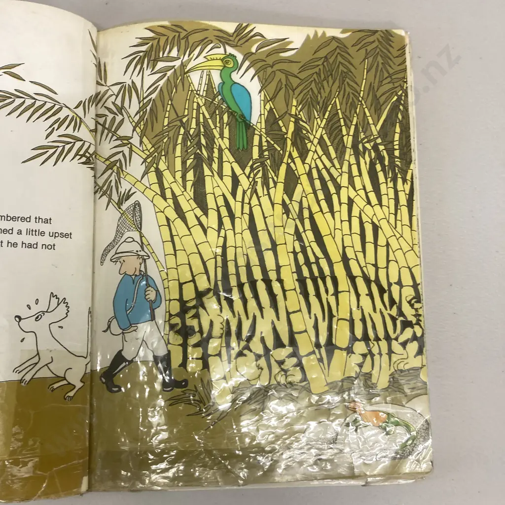 Animal Hide-and-Seek, Animals In Colour Magic & Inside and Outside by Annette Tison & Talus Taylor Image 1++