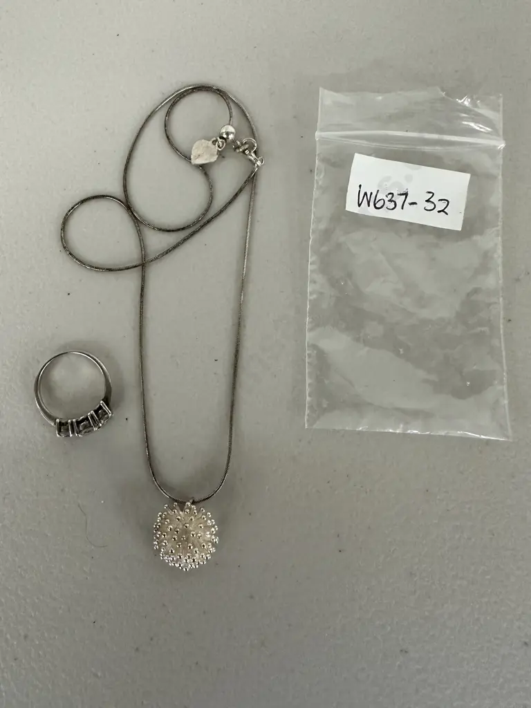 Sterling Silver Ring with clear stones and Sterling Silver Necklace with Pendant Image 1++