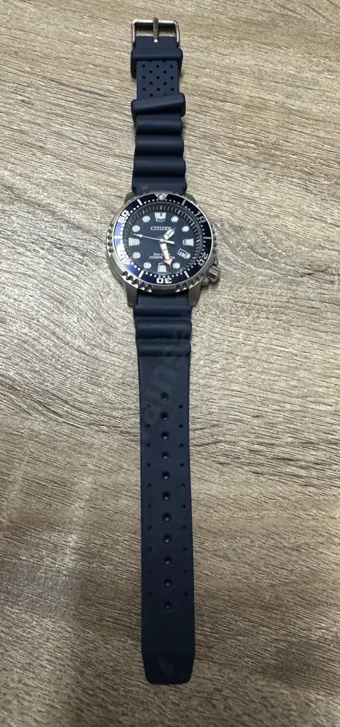 Citizen Promaster E168-S 126134 Eco Drive 200M DIVERS Watch, Marine Blue Dial Image 1++