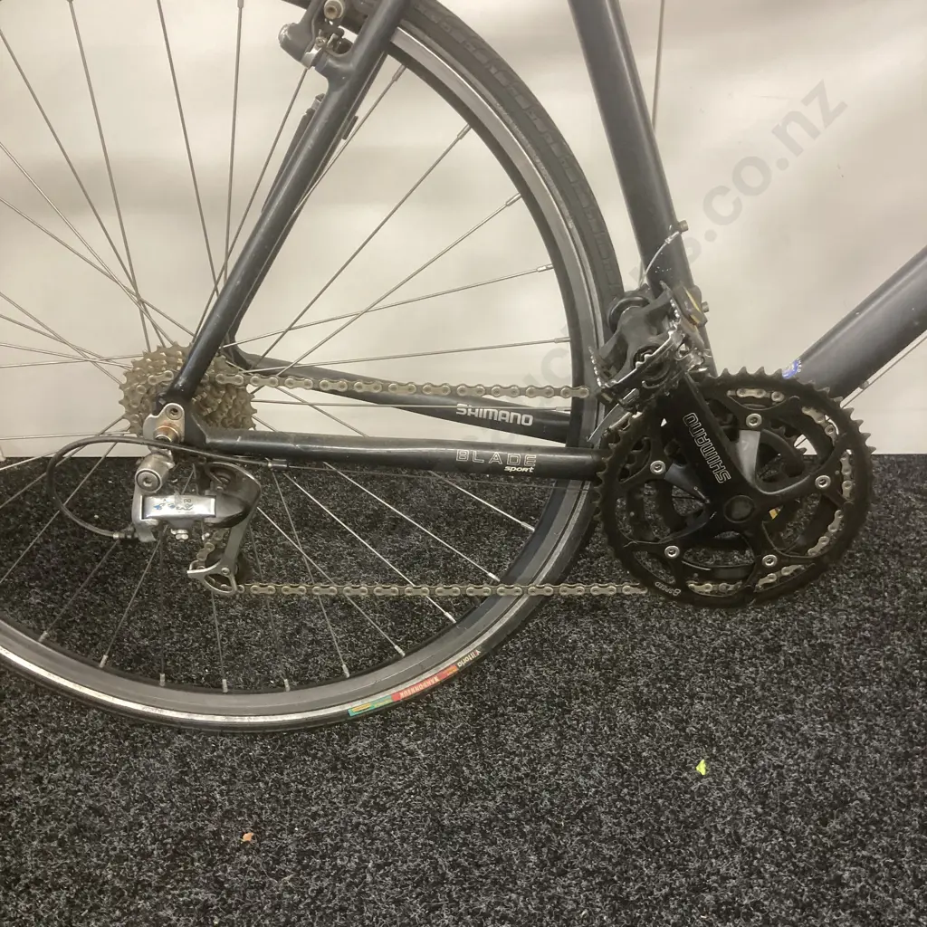Road Bike - Avanti Blade Sport, Grey Colour Image 1++