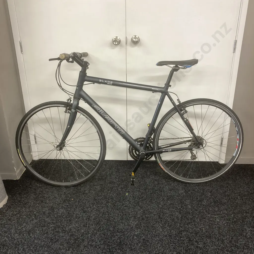 Road Bike - Avanti Blade Sport, Grey Colour Image 1++