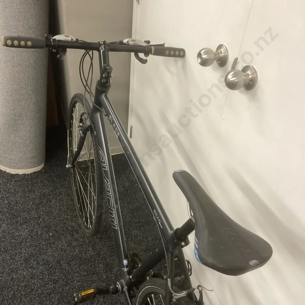 Road Bike - Avanti Blade Sport, Grey Colour Image 1++