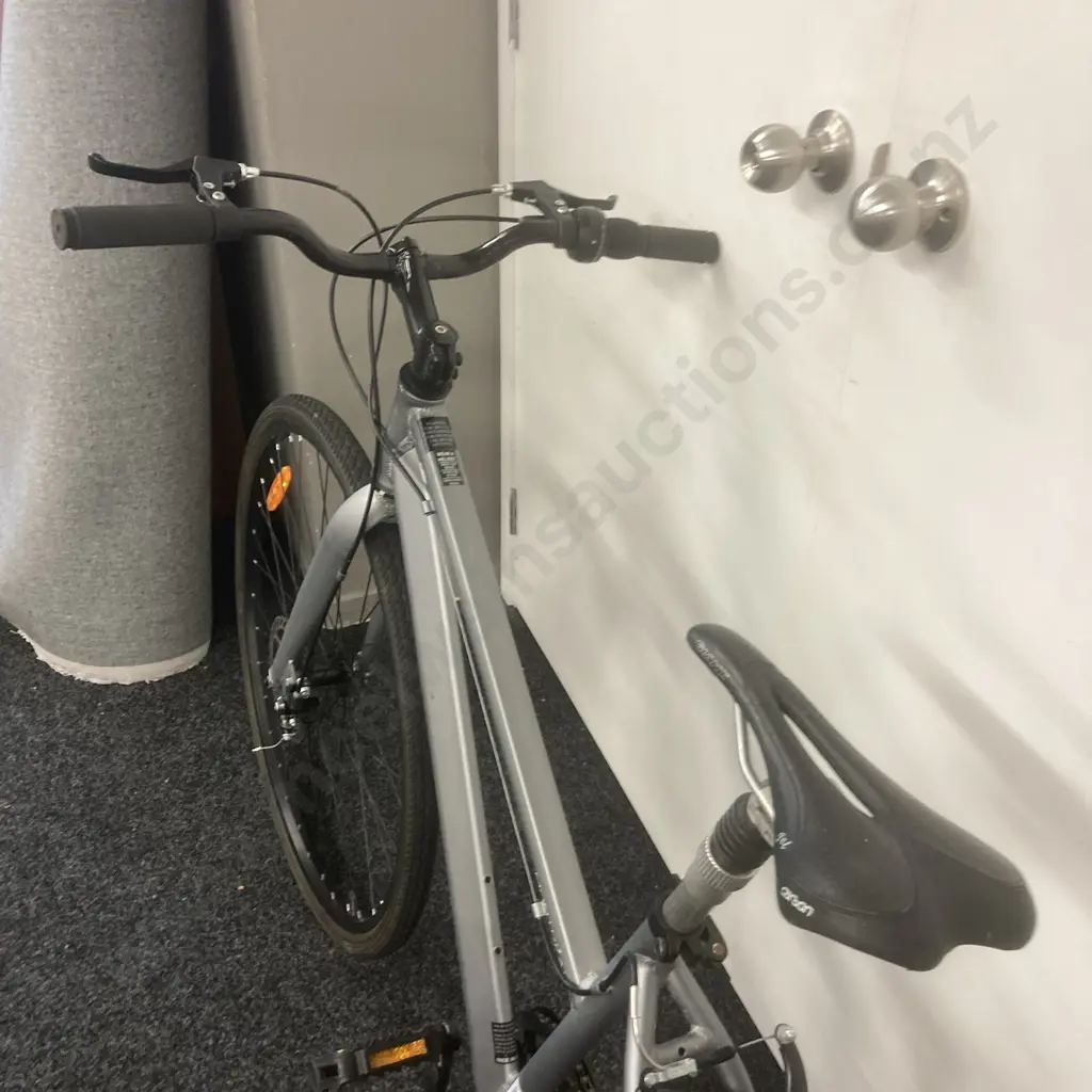 Silver Coloured Montreal Ladies Bike Image 1++