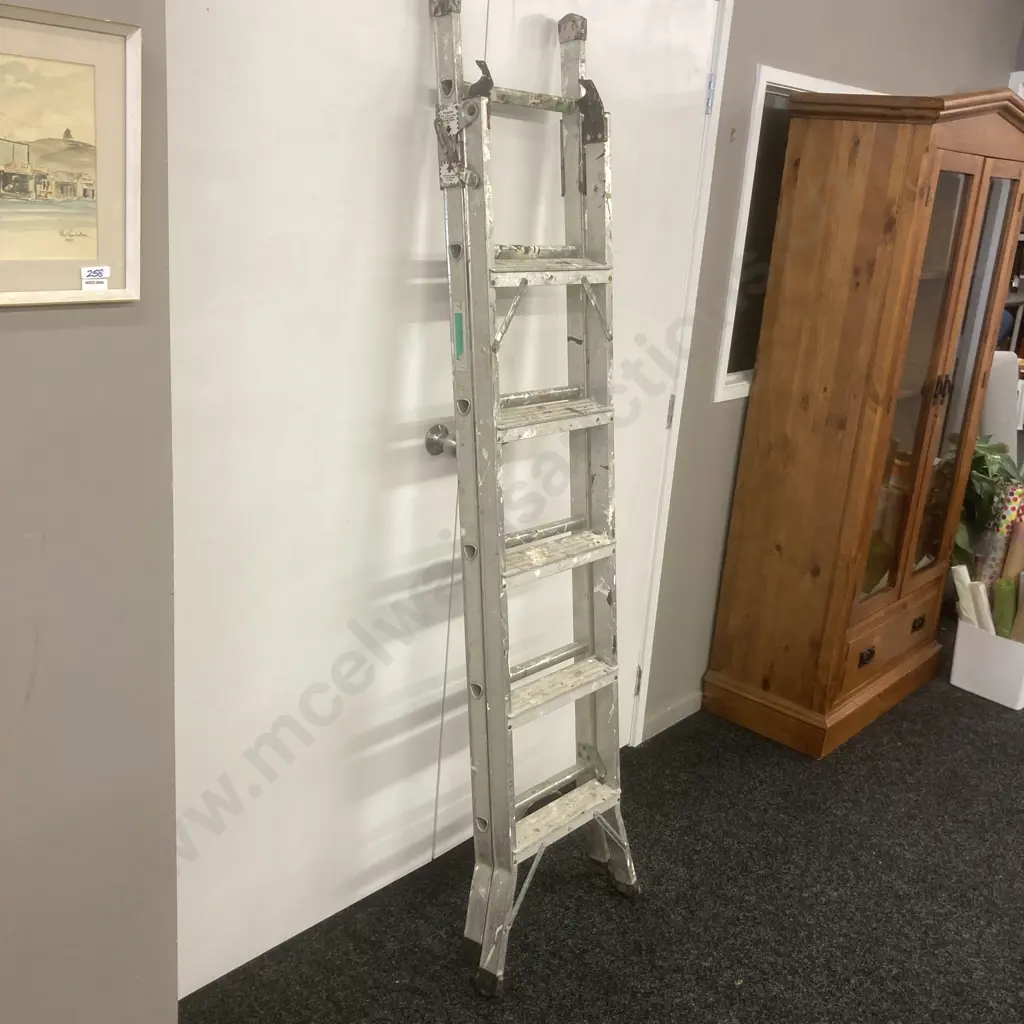 Aluminium Extension Ladder, 1.9m Image 1++