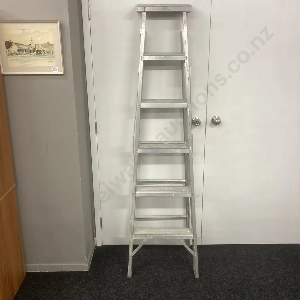 Alco Aluminium Step Extension Ladder Image 1++