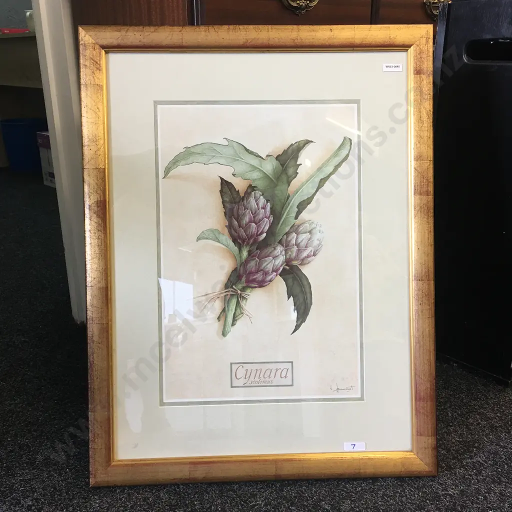 Gilt Framed Print 'Cynara Scolimus' Signed, 75 x 57cm Image 1++