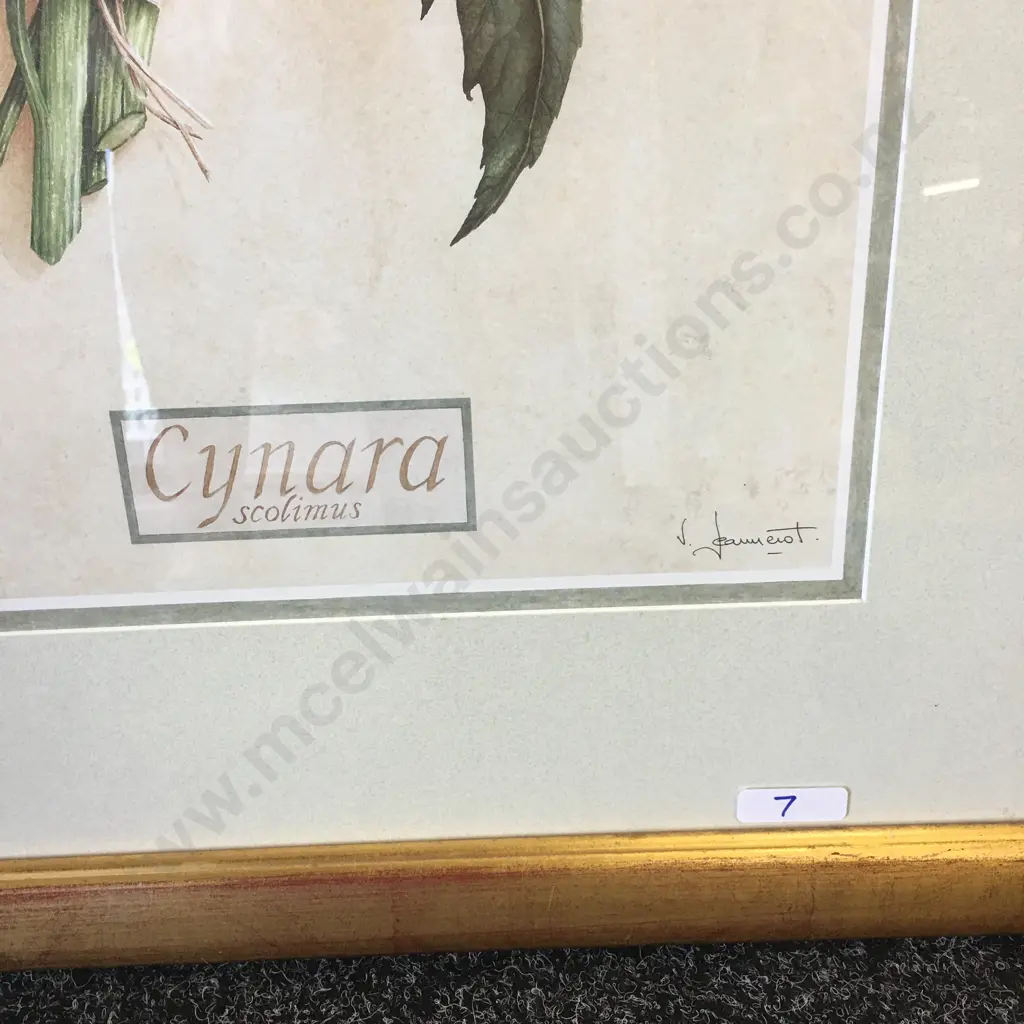 Gilt Framed Print 'Cynara Scolimus' Signed, 75 x 57cm Image 1++