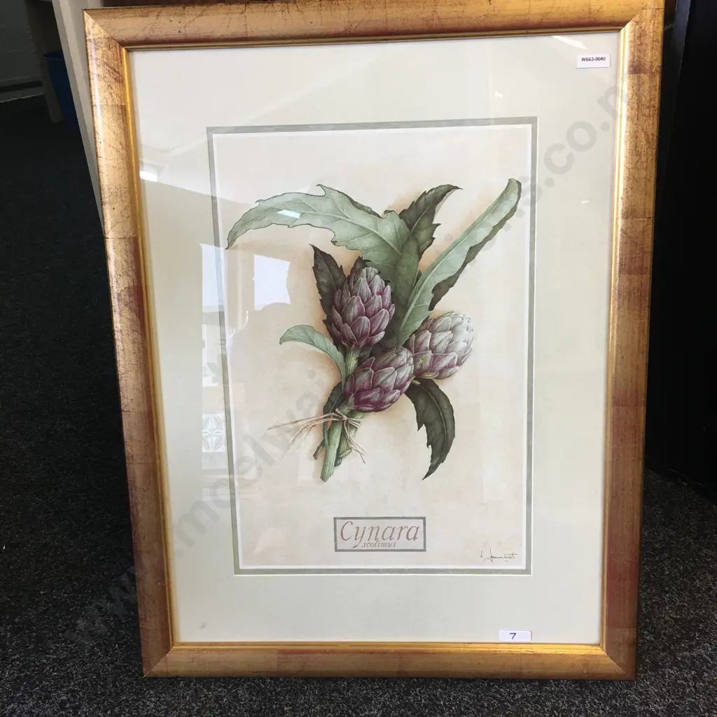 Gilt Framed Print 'Cynara Scolimus' Signed, 75 x 57cm Image 1++
