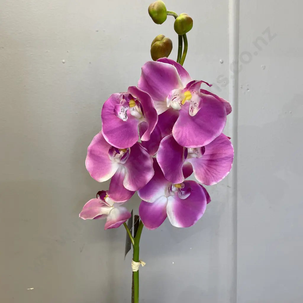 Faux Orchid Plant in Glass Vase Image 1++