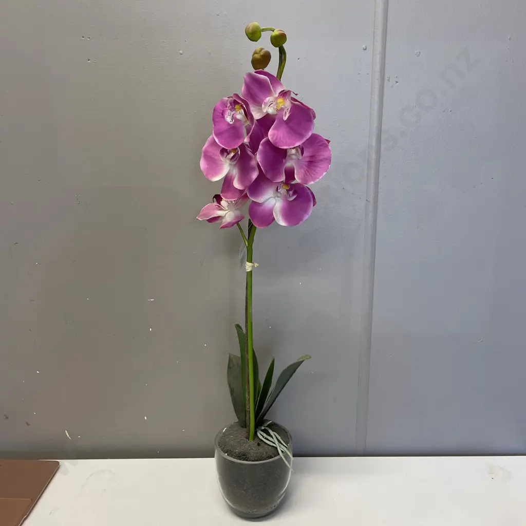 Faux Orchid Plant in Glass Vase Image 1++