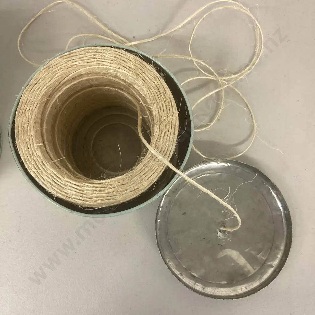 Bucket of Wooden Pegs & String In Container Image 1++