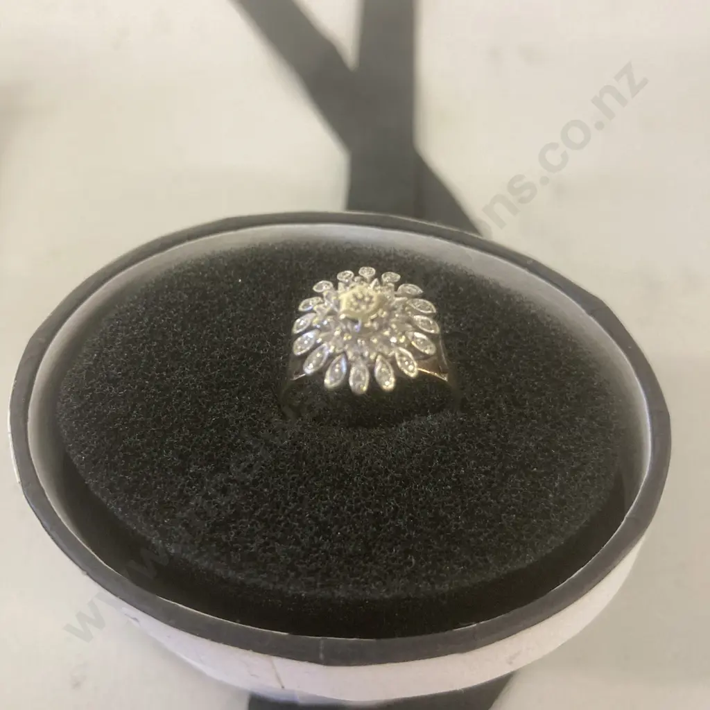 Ladies 9ct Yellow & White Gold Round Cluster Ring With 25 Diamonds (Valuation 17/01/2023 Replacement New Value $2625.00) Image 1++