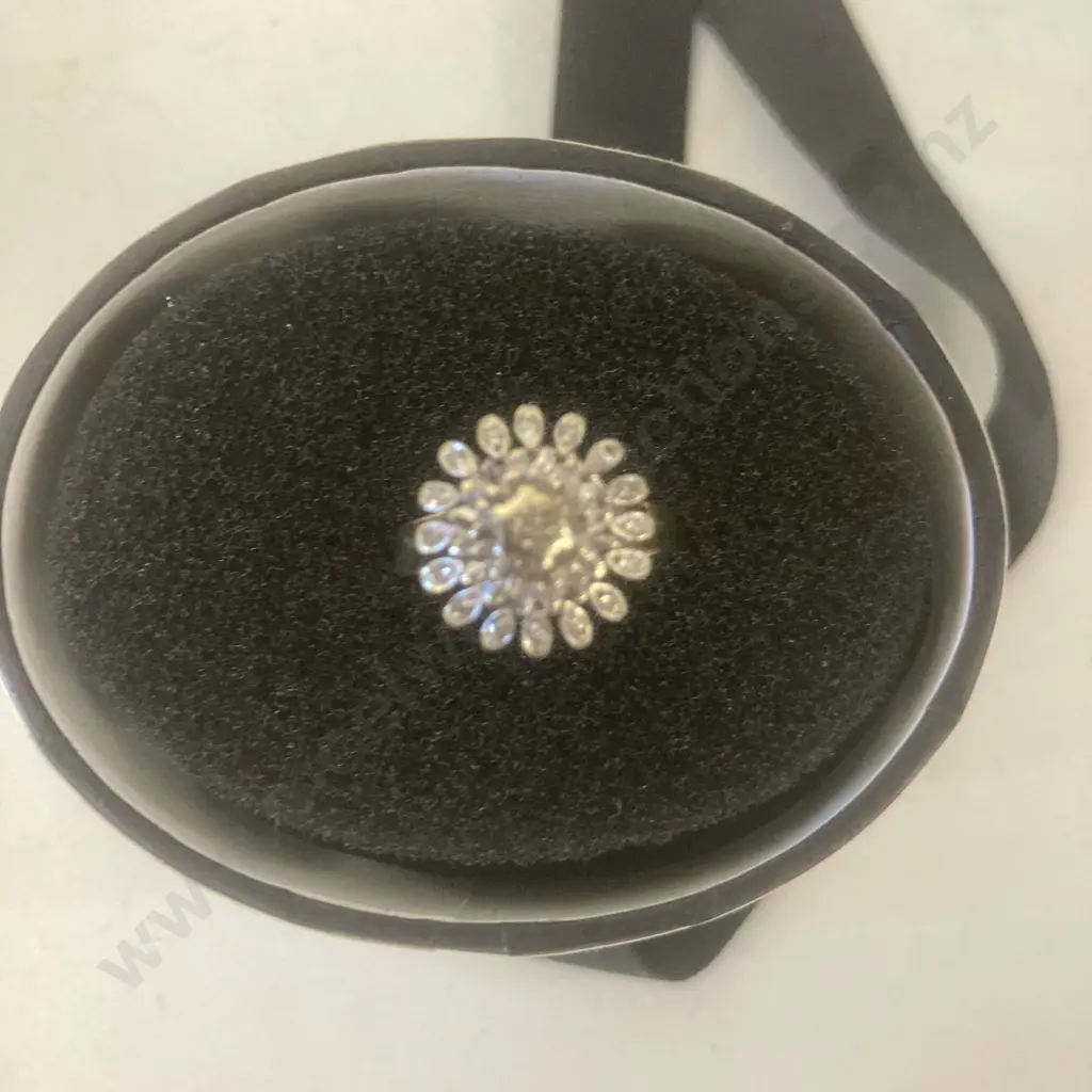 Ladies 9ct Yellow & White Gold Round Cluster Ring With 25 Diamonds (Valuation 17/01/2023 Replacement New Value $2625.00) Image 1++