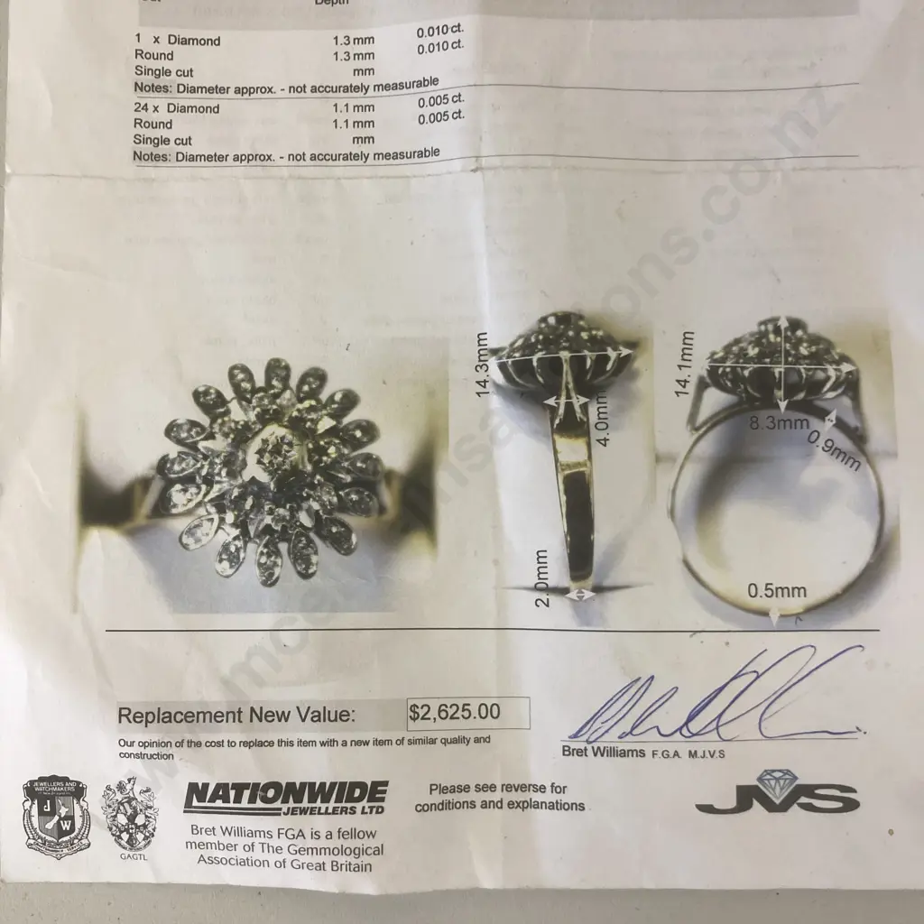 Ladies 9ct Yellow & White Gold Round Cluster Ring With 25 Diamonds (Valuation 17/01/2023 Replacement New Value $2625.00) Image 1++