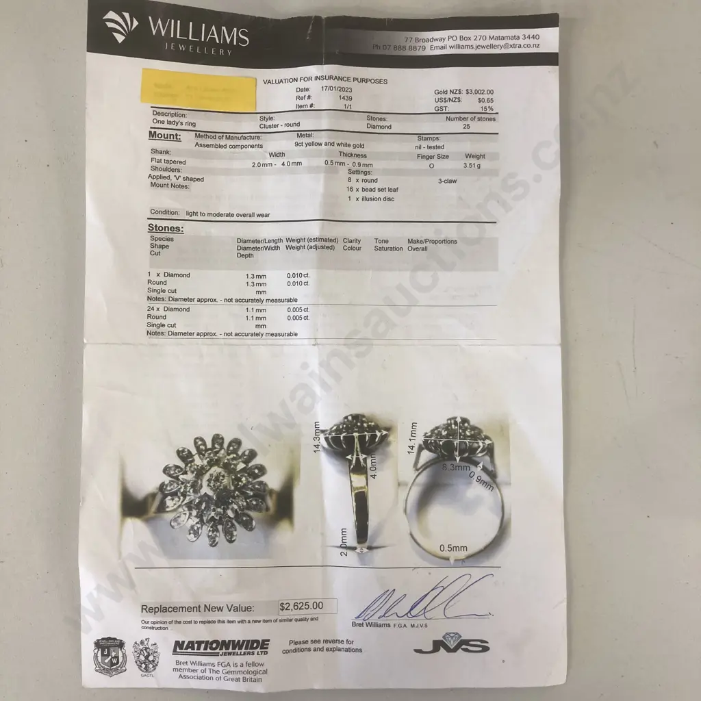 Ladies 9ct Yellow & White Gold Round Cluster Ring With 25 Diamonds (Valuation 17/01/2023 Replacement New Value $2625.00) Image 1++