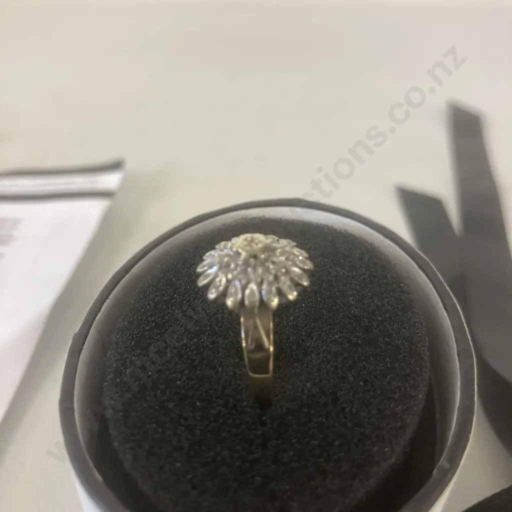 Ladies 9ct Yellow & White Gold Round Cluster Ring With 25 Diamonds (Valuation 17/01/2023 Replacement New Value $2625.00) Image 1++