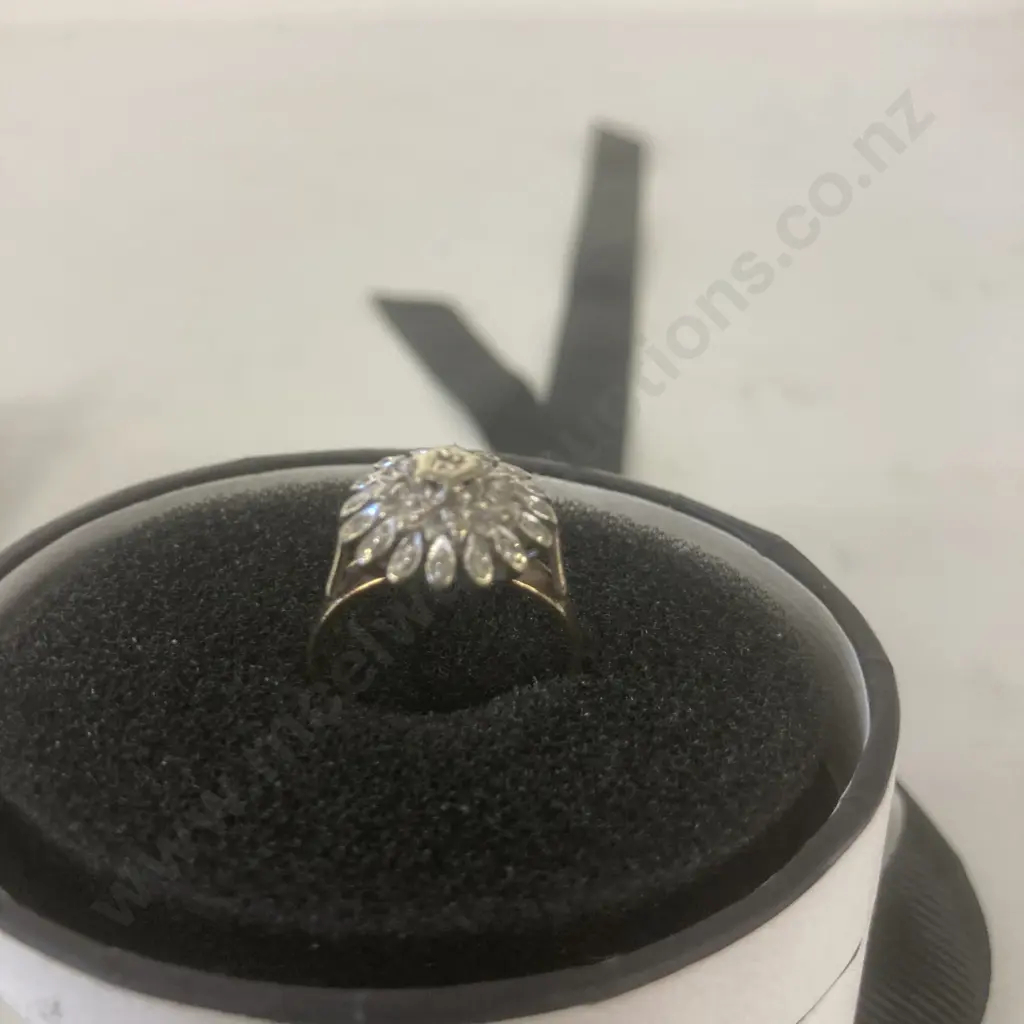Ladies 9ct Yellow & White Gold Round Cluster Ring With 25 Diamonds (Valuation 17/01/2023 Replacement New Value $2625.00) Image 1++