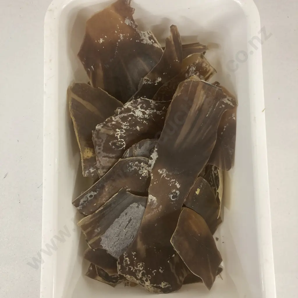 Box of Tortoise Shell Pieces (For Repair) Image 1++
