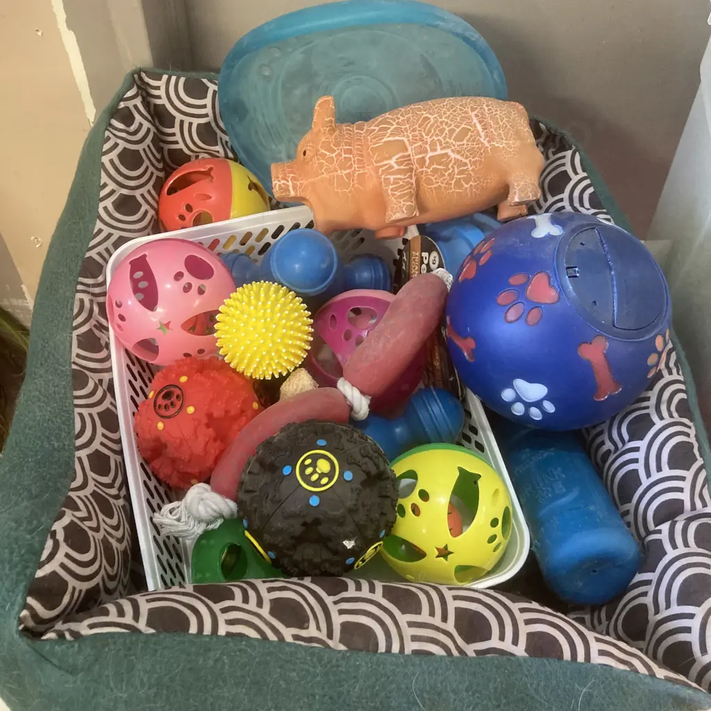 Box Lot Assorted Pet Stuff, Bed & Toys Image 1++