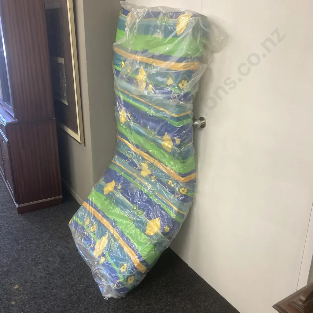 Single Foam Mattress (Near New) Image 1++