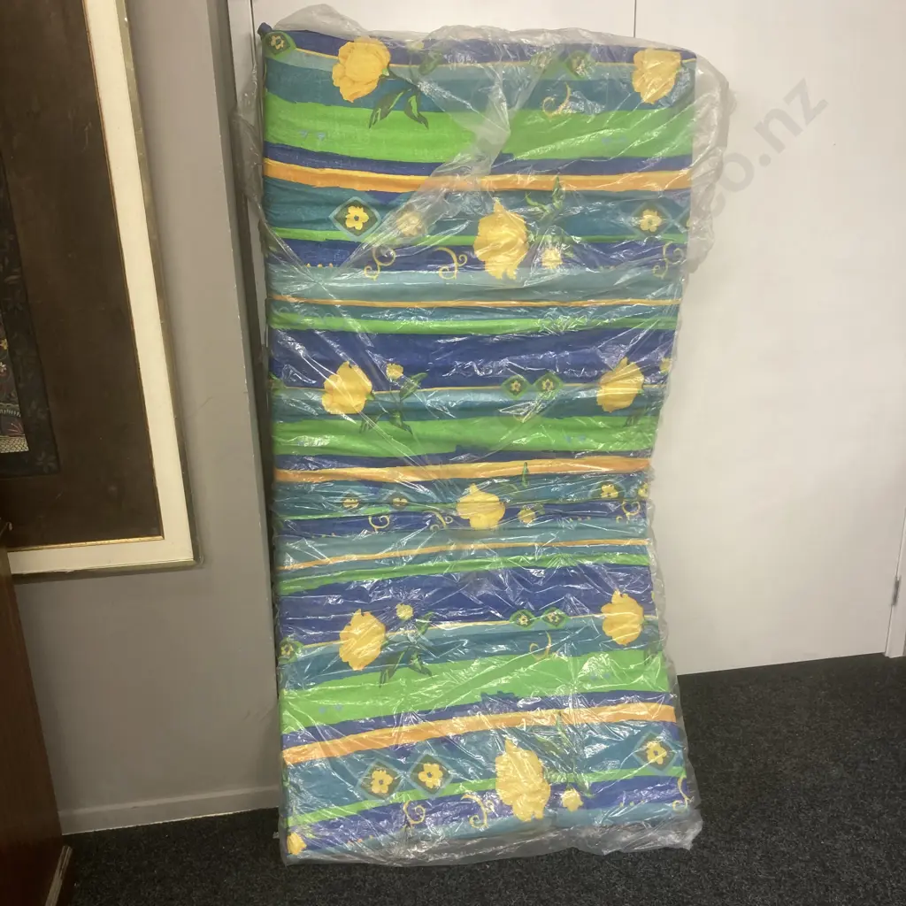 Single Foam Mattress (Near New) Image 1++